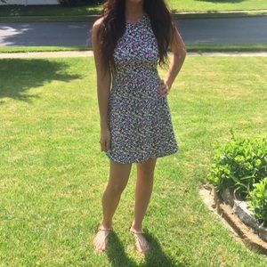 American Eagle Floral Print Skater Dress